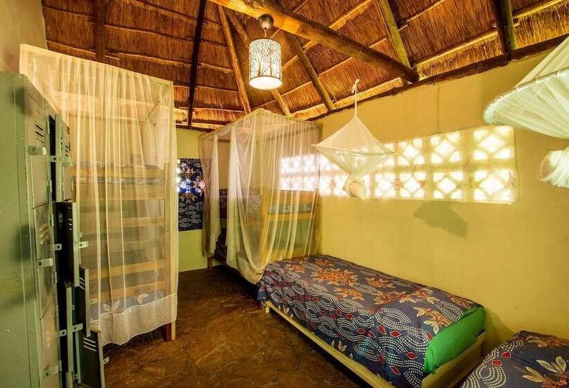 تختخواب در اتاق مشترک, Victoria Falls Backpackers Lodge