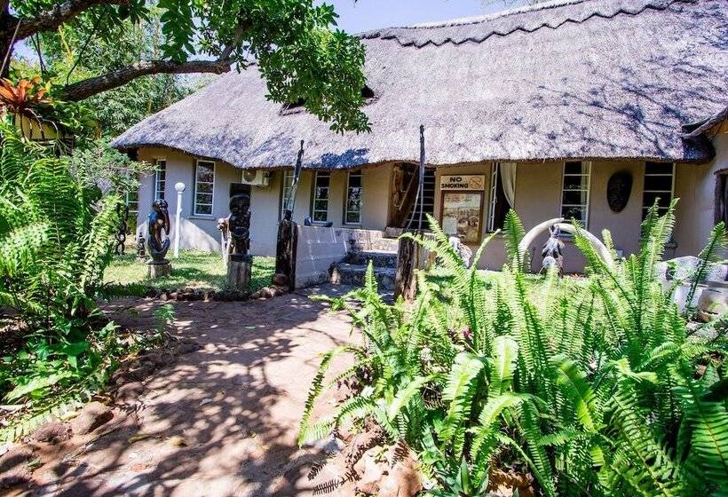 تختخواب در اتاق مشترک, Victoria Falls Backpackers Lodge