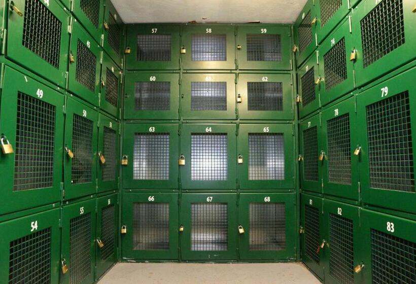 共用房间的床, Sheilas Tourist Hostel