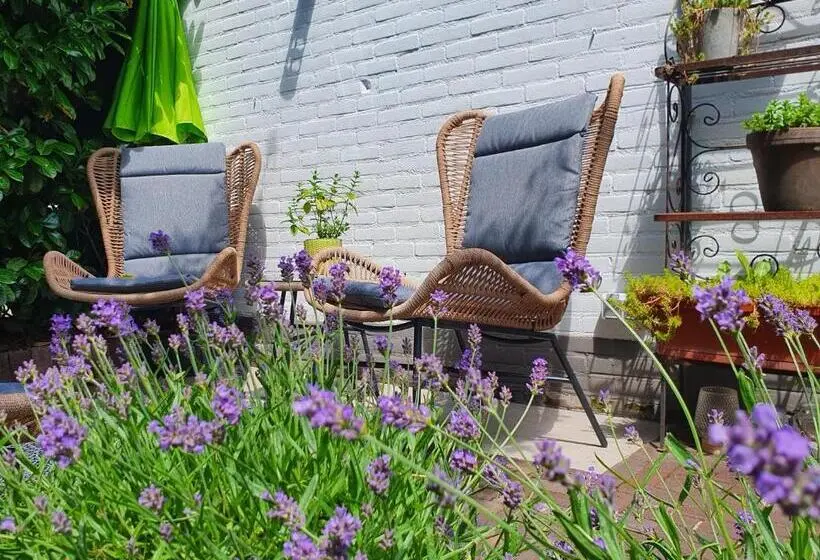 テラス付きスタンダードルーム, Bed And Breakfast En Studio Het Atelier