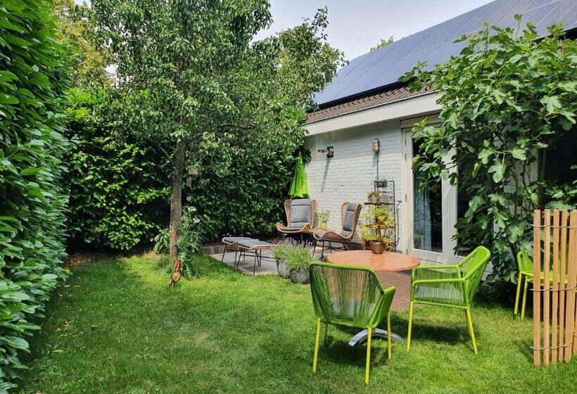 اتاق استاندارد با تراس, Bed And Breakfast En Studio Het Atelier