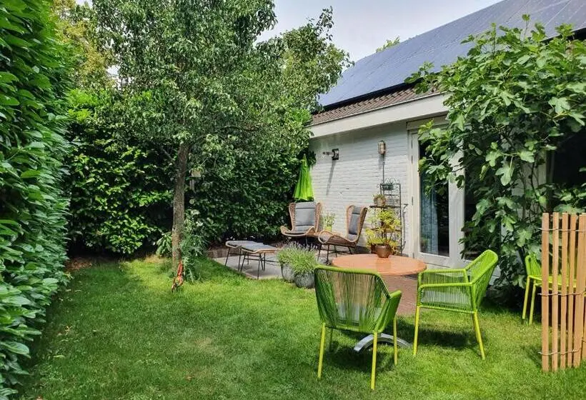 テラス付きスタンダードルーム, Bed And Breakfast En Studio Het Atelier