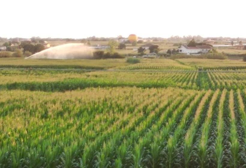 اتاق استاندارد, Le Colline Di Paestum