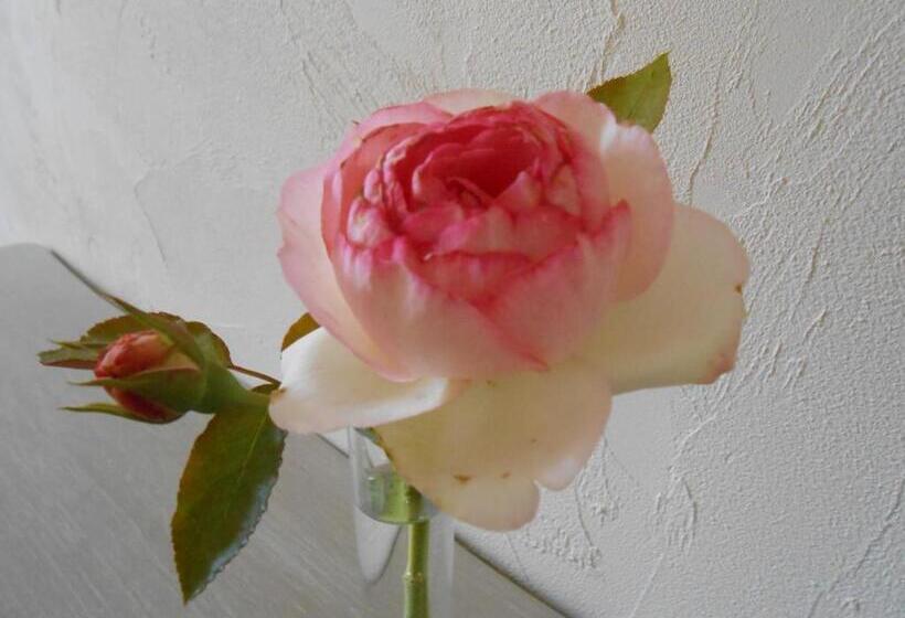 스탠다드 룸, La Maison Du Bourg B&b