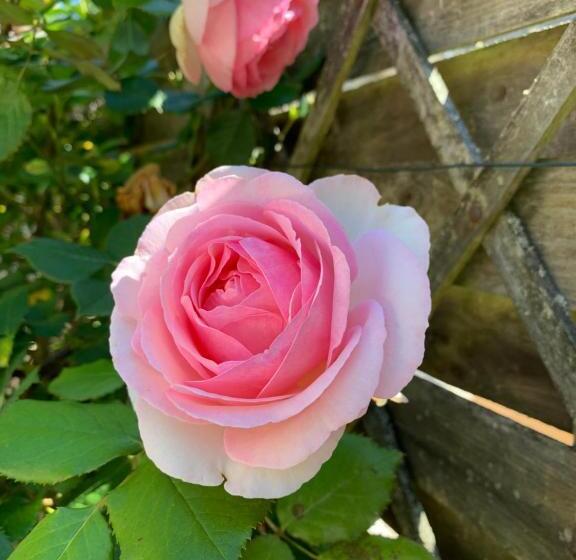 컴포트 룸, La Maison Du Bourg B&b