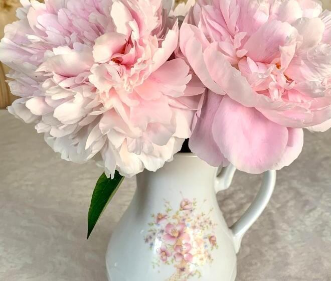 스탠다드 룸, La Maison Du Bourg B&b