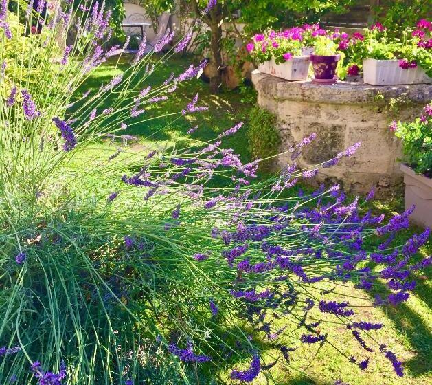 컴포트 룸, La Maison Du Bourg B&b