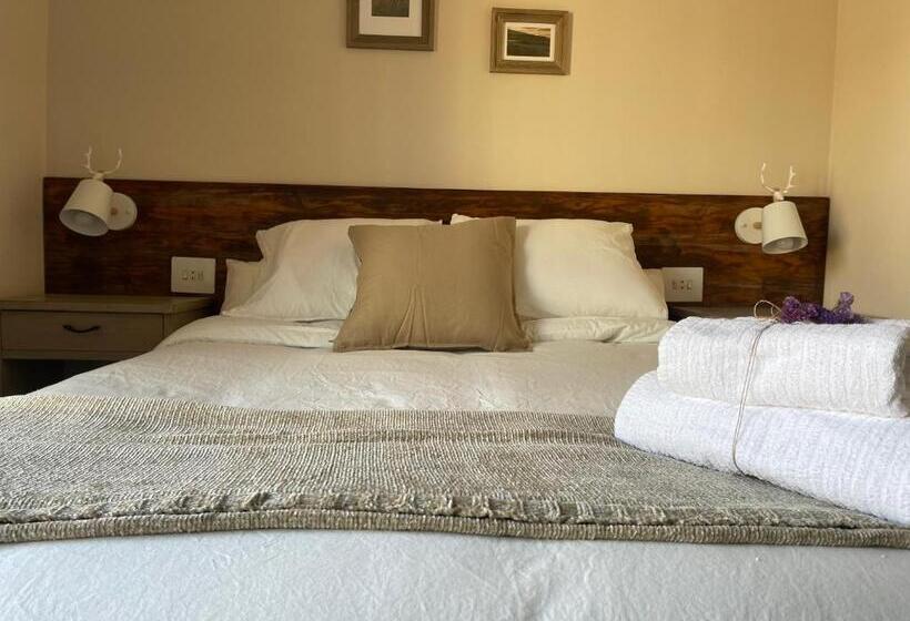 带大床的标准间, Fonda Peremiquel