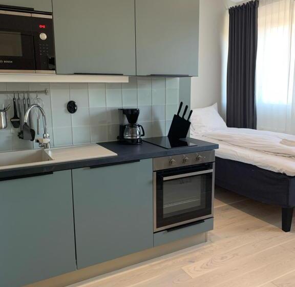 إستوديو قياسى, Foundry Hotel Apartments