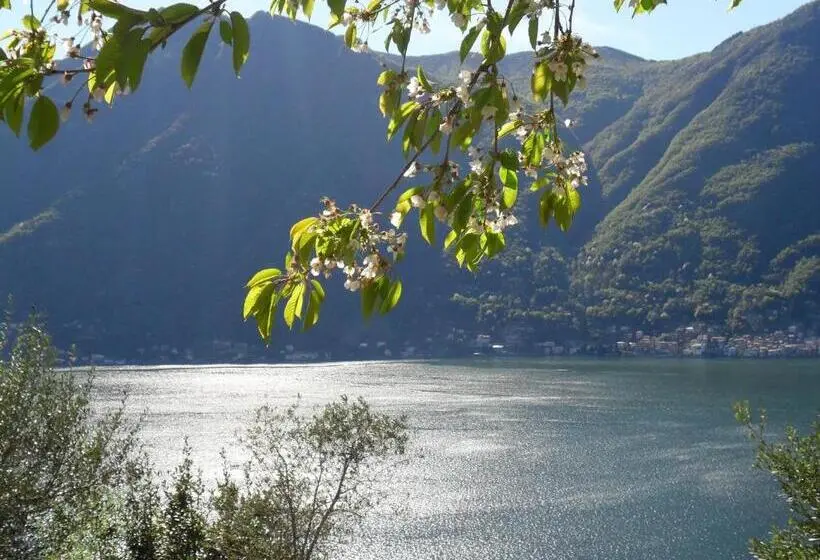 Apartament 1 Dormitori Planta Baixa, Reginaldo S Home Bed&breakfast