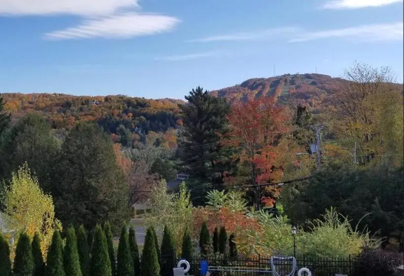 Appartement met 1 Slaapkamer en Uitzicht, Le Champlain Condo Hôtel