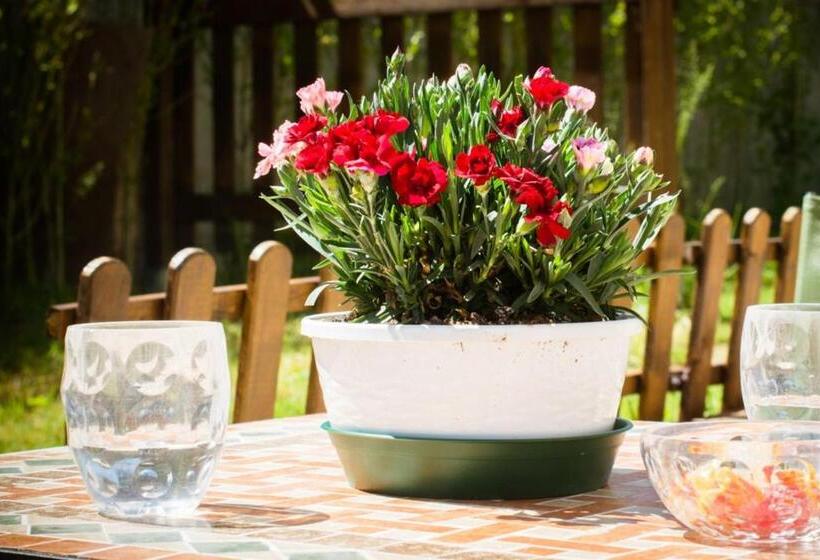 غرفة عائلية, Il Martinetto Bed & Breakfast