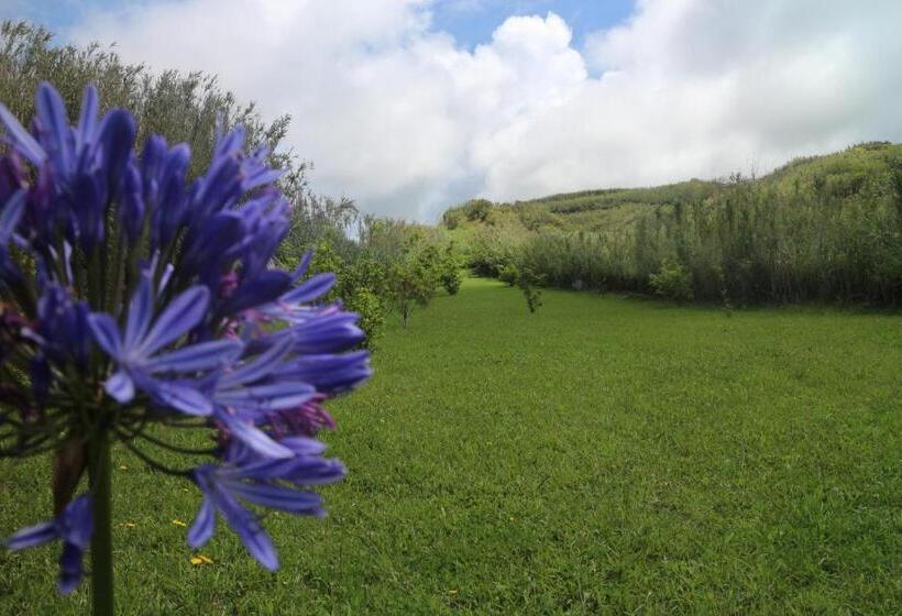 スタンダードトリプルルーム, Casa Das Camarinhas Raal 542  Casa Partilhada