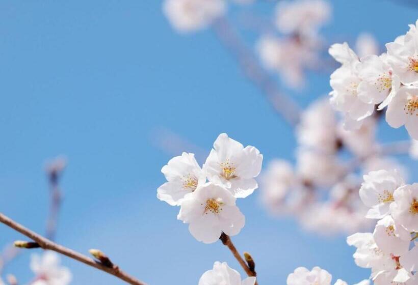 آپارتمان 1 خوابه, Rakuten Stay Tokyoasakusa  Vacation Stay 41097v