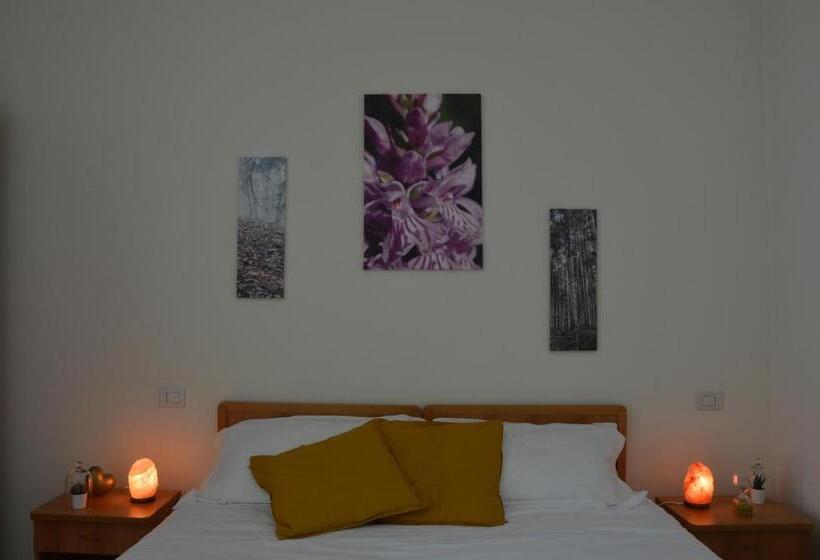 חדר סטנדרט לשלושה, Ca  Serafina