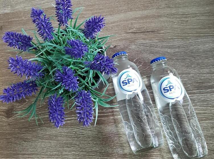 חדר דחוקס עם מיטת קינג, Bed & Breakfast Moments