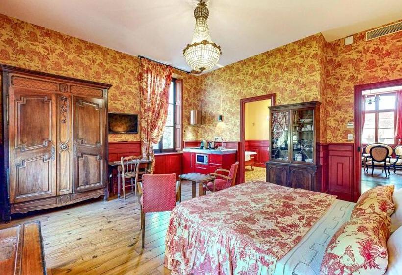 스탠다드 도시전망 룸, Demeure Saint Louis Historic Manor, City 700m, Parking, Wifi, Electrical Terminal