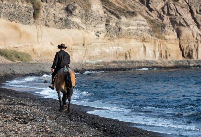 주니어 스위트, Evgenia Villas & Suites By Calm Collection