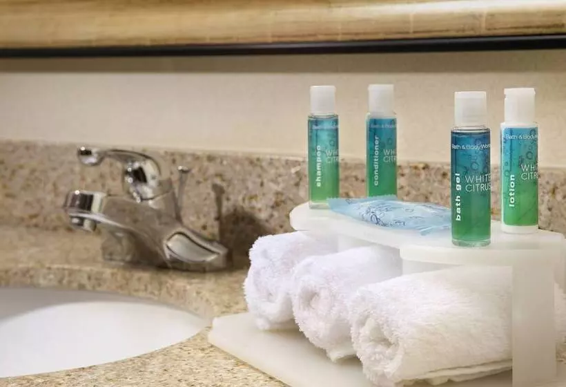 スイート, Holiday Inn Express & Suites San Antonio West Sea World Area, An Ihg