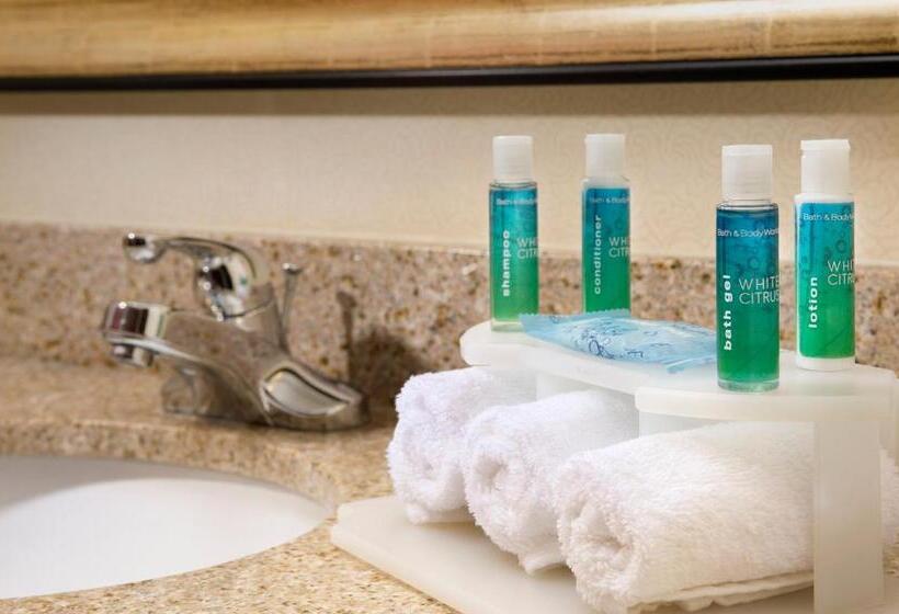 适合残疾人使用的标准间, Holiday Inn Express & Suites San Antonio West Sea World Area, An Ihg