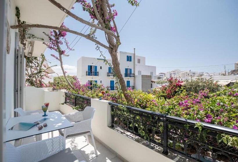 Junior Suite z Tarasem, Pension Sofi