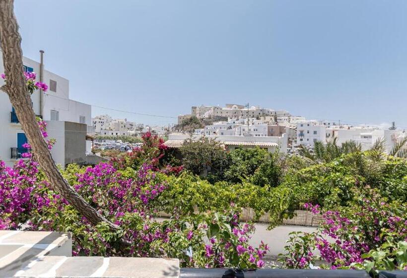 Junior Suite z Tarasem, Pension Sofi