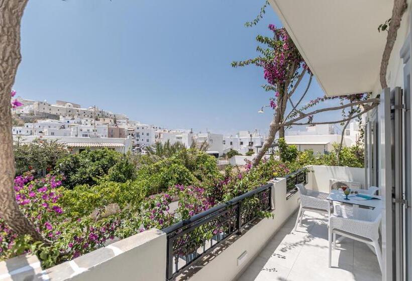 Junior Suite z Tarasem, Pension Sofi