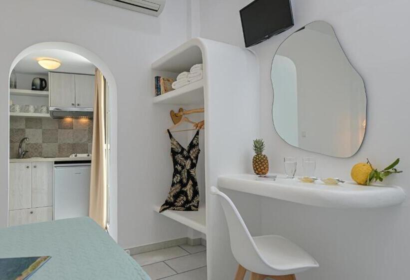 Studio Standard, Pension Sofi