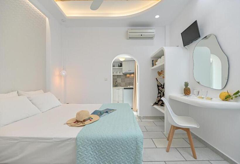 Studio Standard, Pension Sofi