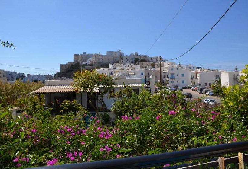 Studio Standard, Pension Sofi