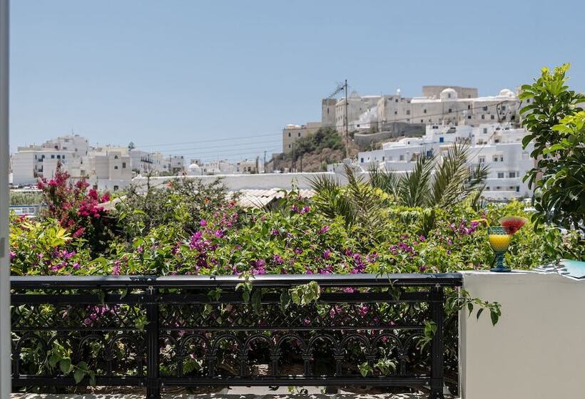 Studio Standard, Pension Sofi