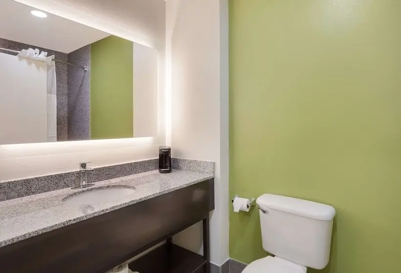 Sviitti, Sleep Inn & Suites North Mobile Saraland