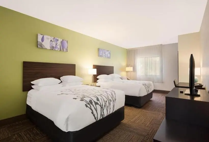 Standard-huone, Sleep Inn & Suites North Mobile Saraland