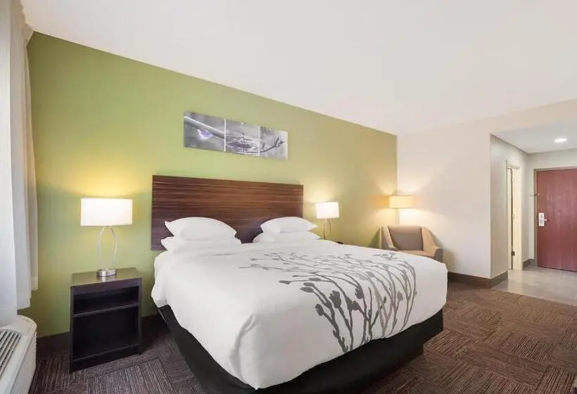 Standard-huone King-vuode, Sleep Inn & Suites North Mobile Saraland