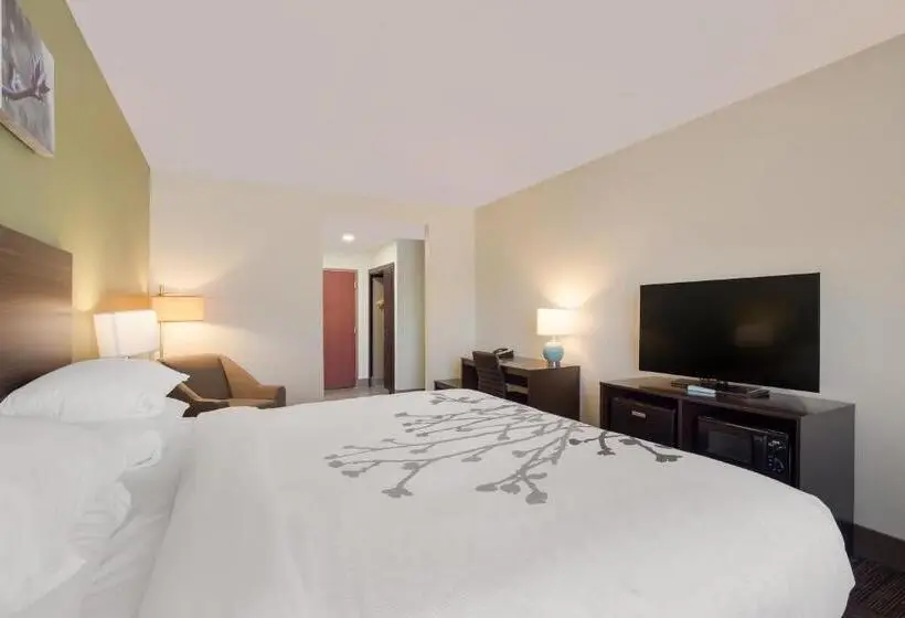 Standard-huone King-vuode, Sleep Inn & Suites North Mobile Saraland