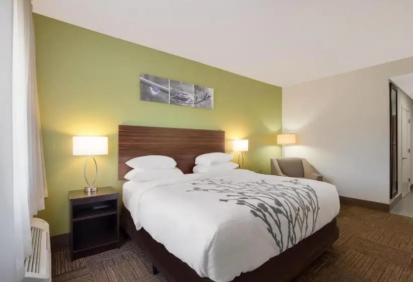 Standard-invahuone King-vuode, Sleep Inn & Suites North Mobile Saraland