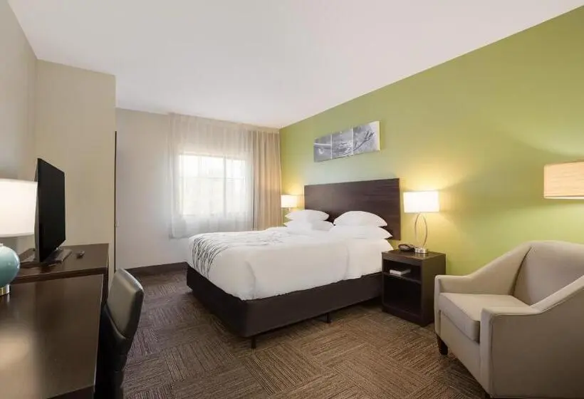 Standard-invahuone King-vuode, Sleep Inn & Suites North Mobile Saraland