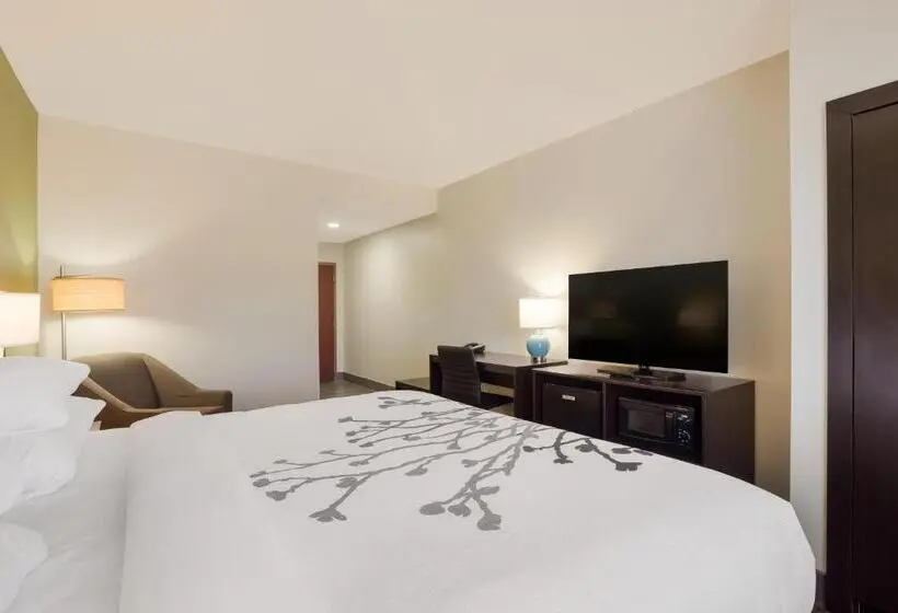 Standard-invahuone King-vuode, Sleep Inn & Suites North Mobile Saraland