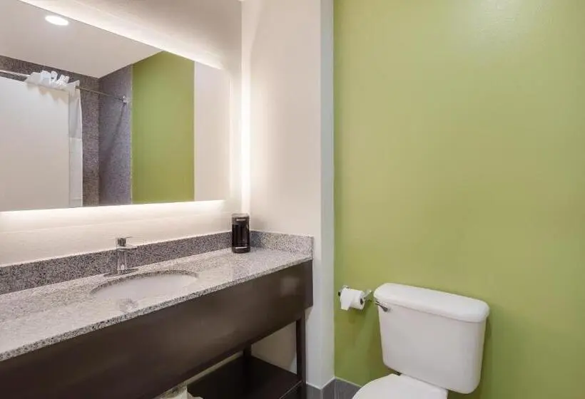 Standard-invahuone, Sleep Inn & Suites North Mobile Saraland