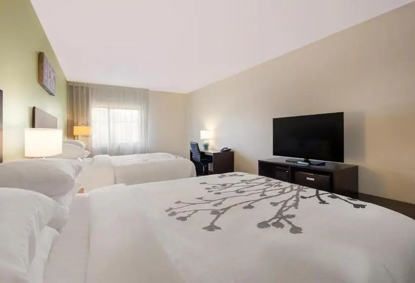 Standard-invahuone, Sleep Inn & Suites North Mobile Saraland