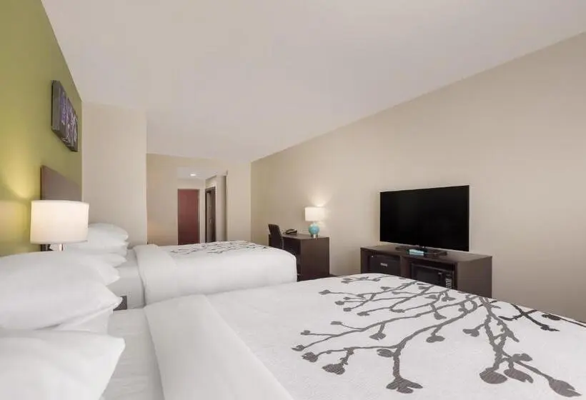 Superior-invahuone, Sleep Inn & Suites North Mobile Saraland