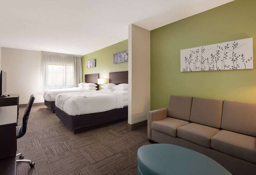 Люкс, Sleep Inn & Suites North Mobile Saraland