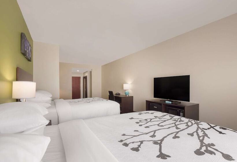 Люкс, Sleep Inn & Suites North Mobile Saraland