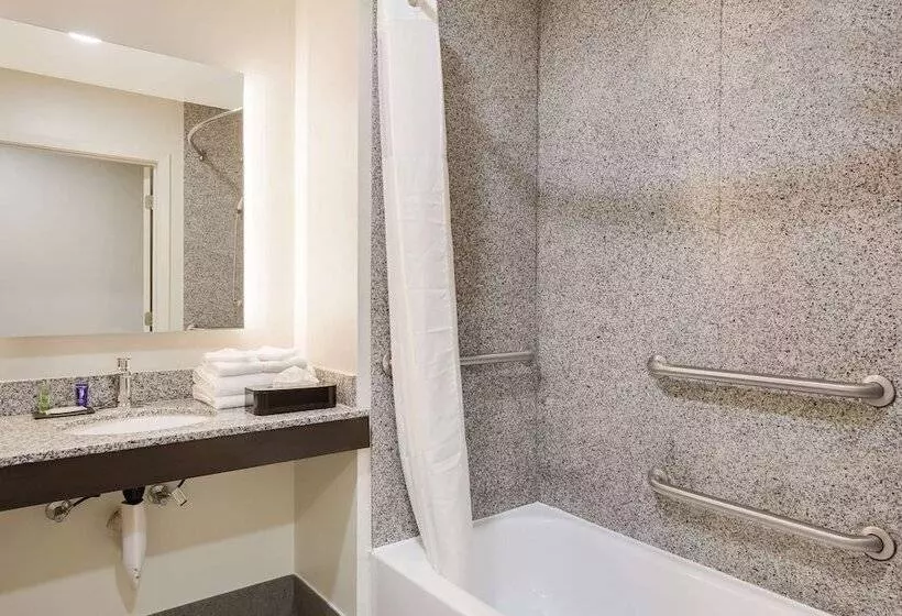 スイート, Sleep Inn & Suites North Mobile Saraland