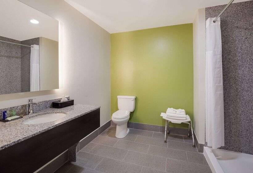 Люкс, Sleep Inn & Suites North Mobile Saraland