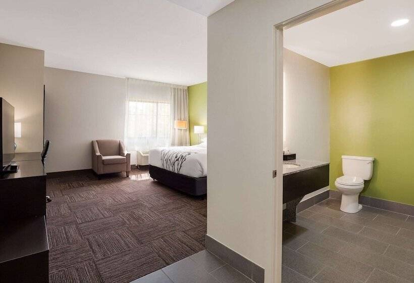 Люкс, Sleep Inn & Suites North Mobile Saraland