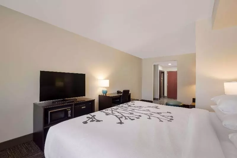 キングサイズベッドのスタンダードルーム, Sleep Inn & Suites North Mobile Saraland