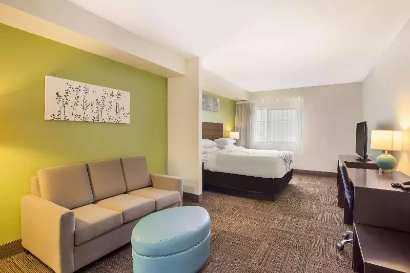 キングサイズベッドのスタンダードルーム, Sleep Inn & Suites North Mobile Saraland
