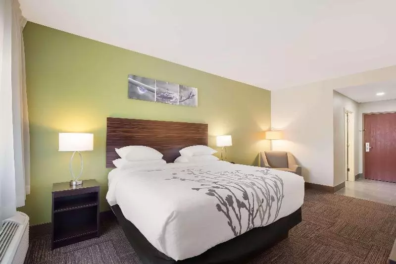 キングサイズベッドのスタンダードルーム, Sleep Inn & Suites North Mobile Saraland
