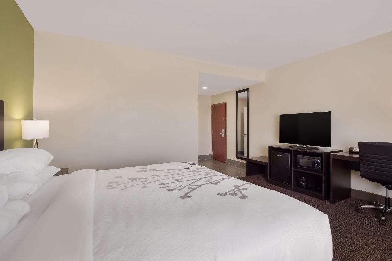 Номер Стандарт Кровать Кинг Адаптированный для Инвалидов, Sleep Inn & Suites North Mobile Saraland